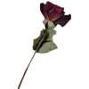 💐 Эмодзи «𝐬𝐚𝐧𝐠𝐮𝐢𝐧𝐞 Fr» для Telegram