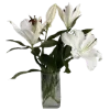 💐 Эмодзи «𝐜𝐨𝐟𝐟𝐞𝐮𝐦 Fr» для Telegram
