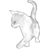 🐈 Эмодзи «𝐜𝐨𝐟𝐟𝐞𝐮𝐦 Fr» для Telegram