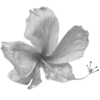 🌺 Эмодзи «𝐜𝐨𝐟𝐟𝐞𝐮𝐦 Fr» для Telegram