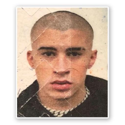 📸 Стикер «Bad Bunny» для Telegram