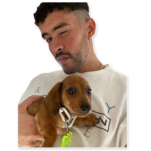 🐶 Стикер «Bad Bunny» для Telegram