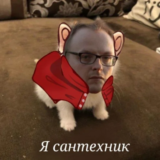 🐈 Стикер «Электрофорезики» для Telegram