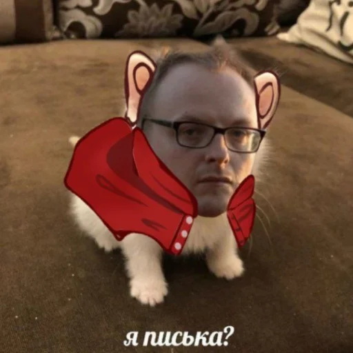 🐈 Стикер «Электрофорезики» для Telegram