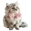 💕 Эмодзи «elegant» для Telegram