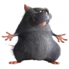 🐱 Эмодзи «Ratatouille» для Telegram
