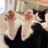 😺 Эмодзи «𝘾𝙖𝙩𝙨 2» для Telegram