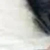 😀 Эмодзи «Гослинг которому поебать из эмоджи» для Telegram