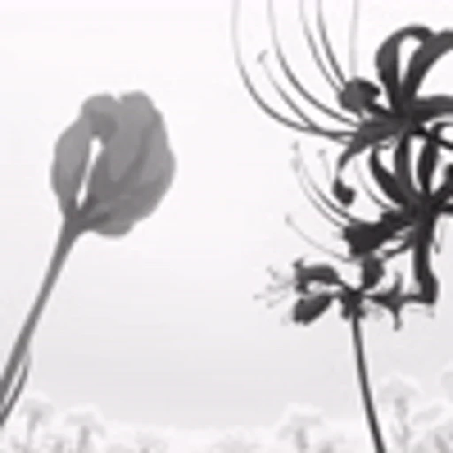 🧛 Эмодзи «Black White Rize» для Telegram