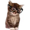 ❤️ Эмодзи «котики из тиктока» для Telegram