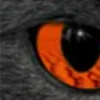 🤩 Эмодзи «котячий взгляд» для Telegram