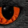 🤩 Эмодзи «котячий взгляд» для Telegram
