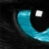 🤩 Эмодзи «котячий взгляд» для Telegram