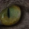🤩 Эмодзи «котячий взгляд» для Telegram