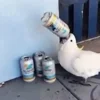 🍺 Эмодзи «Видеопопуги» для Telegram