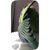 🦜 Эмодзи «Видеопопуги» для Telegram
