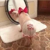 🤩 Эмодзи «Свинки» для Telegram