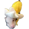 🤩 Эмодзи «Свинки» для Telegram