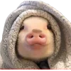 🤩 Эмодзи «Свинки» для Telegram