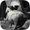 🧐 Эмодзи «Труп Невесты» для Telegram