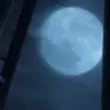 🦋 Эмодзи «Труп Невесты» для Telegram
