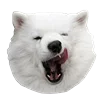 🤒 Эмодзи «С собачками» для Telegram
