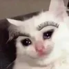 🤒 Эмодзи «С кошечками» для Telegram