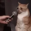 🤒 Эмодзи «С кошечками» для Telegram