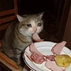 🤒 Эмодзи «С кошечками» для Telegram