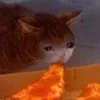🤒 Эмодзи «С кошечками» для Telegram