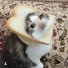 🤒 Эмодзи «С кошечками» для Telegram