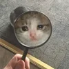 🤒 Эмодзи «С кошечками» для Telegram