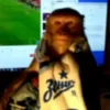 ⚽️ Эмодзи «Monkeys» для Telegram