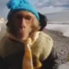 🤨 Эмодзи «Monkeys» для Telegram