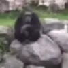 😶 Эмодзи «Monkeys» для Telegram