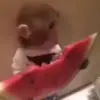 🍉 Эмодзи «Monkeys» для Telegram