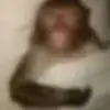 😴 Эмодзи «Monkeys» для Telegram