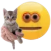 🐱 Эмодзи «Cursed emoji» для Telegram