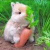 🌟 Эмодзи «Кролики 2» для Telegram