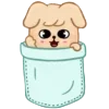 🐶 Эмодзи «Skzoo» для Telegram