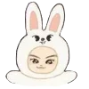 🐰 Эмодзи «Skzoo» для Telegram