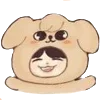 🐶 Эмодзи «Skzoo» для Telegram