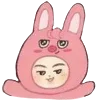 🐷 Эмодзи «Skzoo» для Telegram
