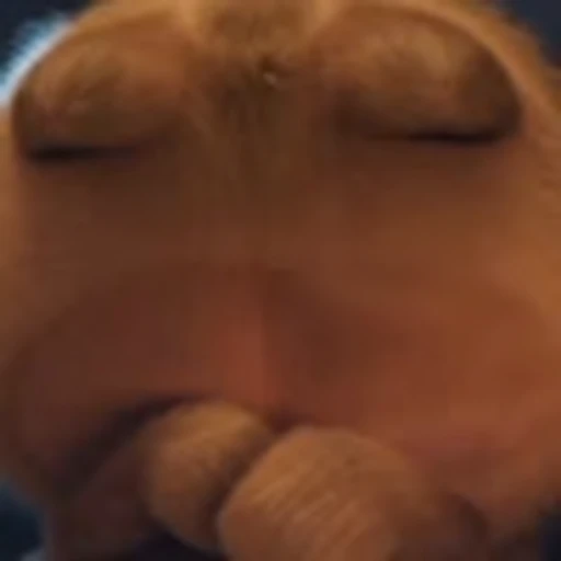 🫣 Эмодзи «cute Garfield» для Telegram