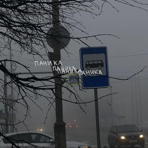 😱 Стикер «Emotional Phrases» для Telegram