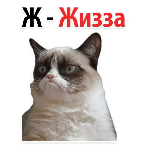 👌 Стикер «? Алфавит Эмоций» для Telegram