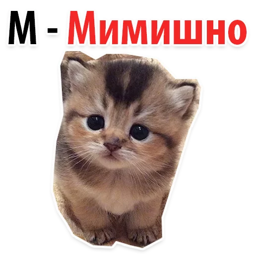 🦊 Стикер «? Алфавит Эмоций» для Telegram