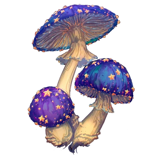 🍄‍🟫 Стикер «Enchanted garden» для Telegram
