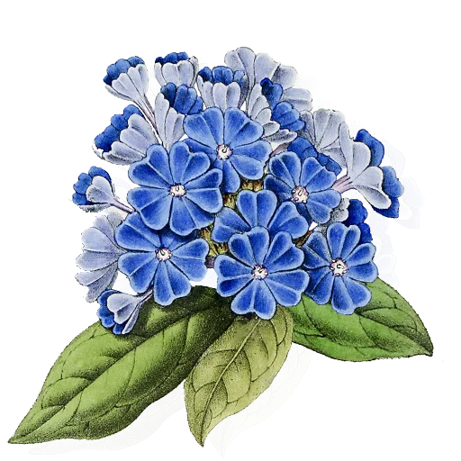 🪻 Стикер «Enchanted garden» для Telegram