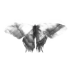 🦋 Эмодзи «Endless» для Telegram